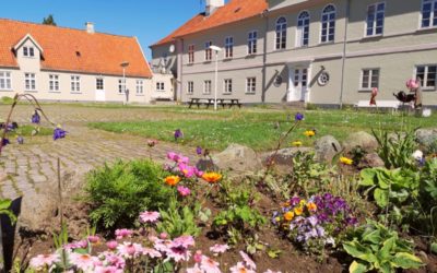 A Practical Guide to Folk High Schools in Denmark: English-Language Programmes, Life, and Application