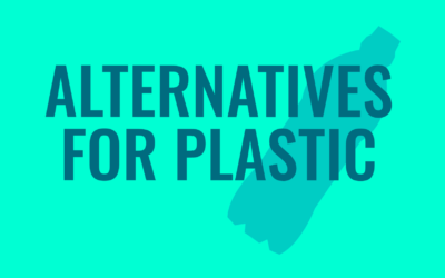 Alternatives for Plastic