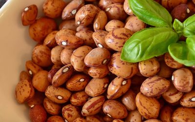7 reasons why we love pulses
