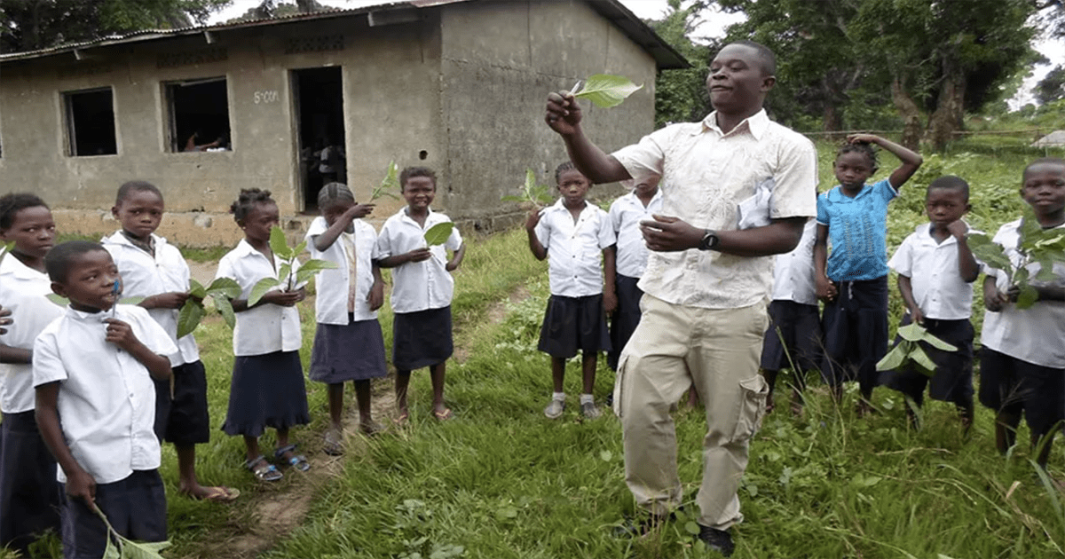 Sustainability in volunteering – how is it done?