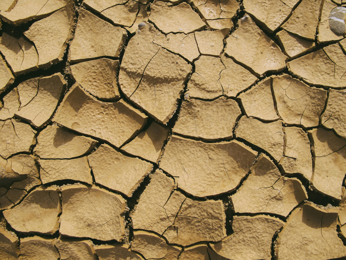 Humanitarian drought crisis