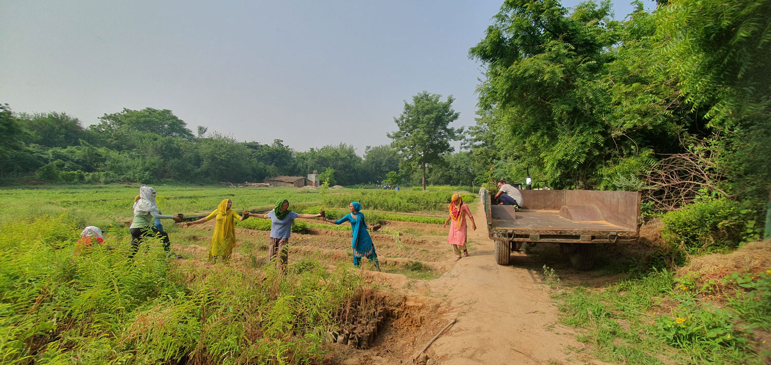 Students-Ana-Caterina-and-Lisa-working-in-india-with-the-local-community-planting-trees Lyla-June-is-an-Indigenous-scholar