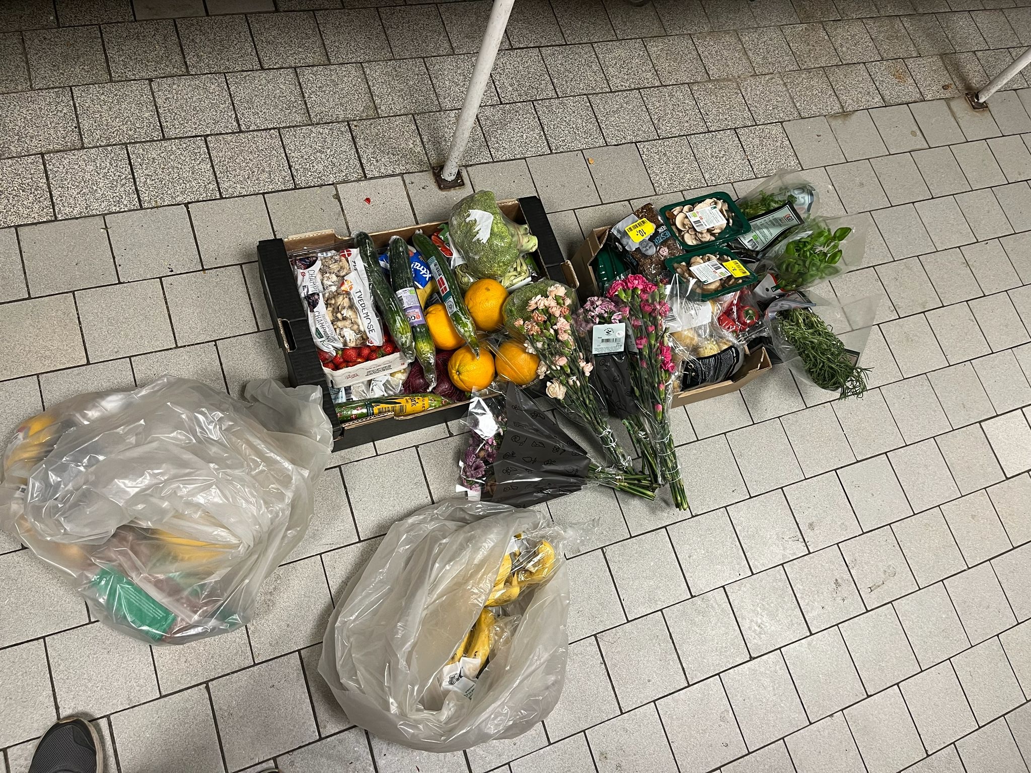 What We Found in the Supermarket Bins gallery image 1
