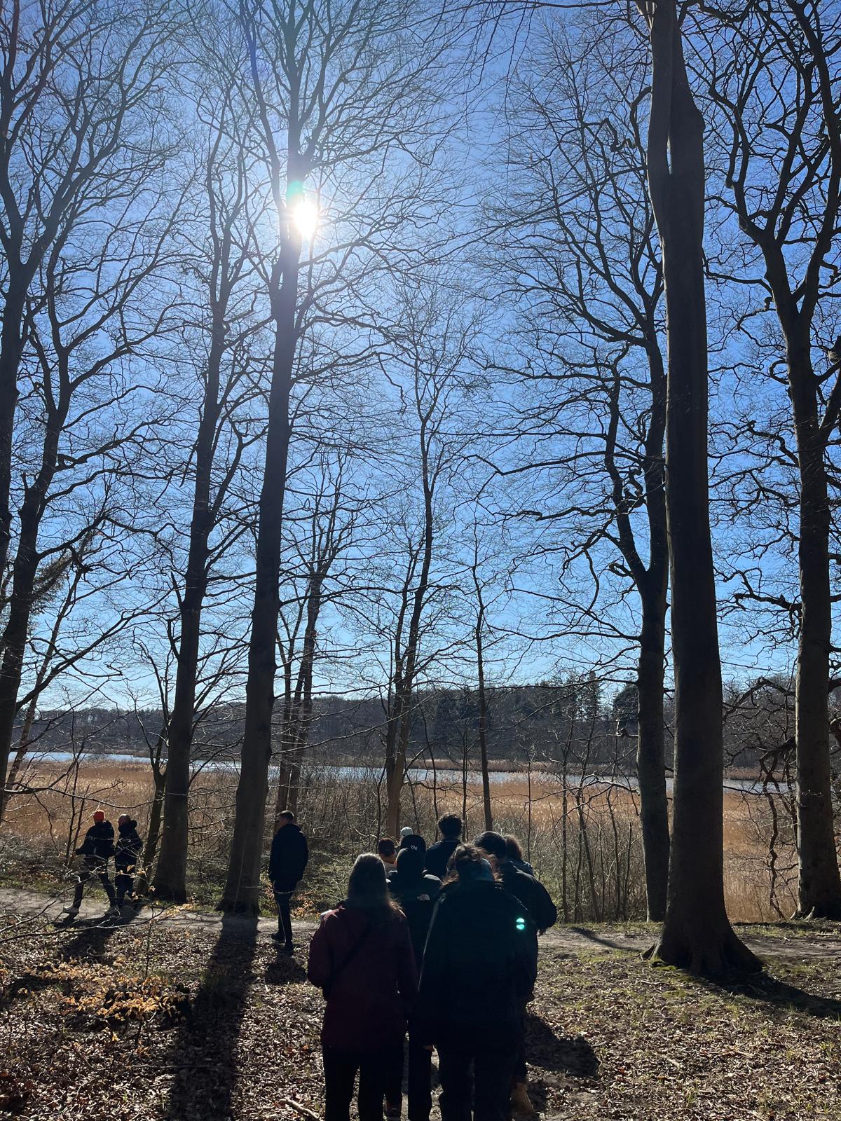 Excursion to the forest