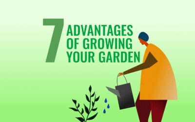 7 advantages of growing a garden