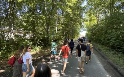One Walk. Two Teams