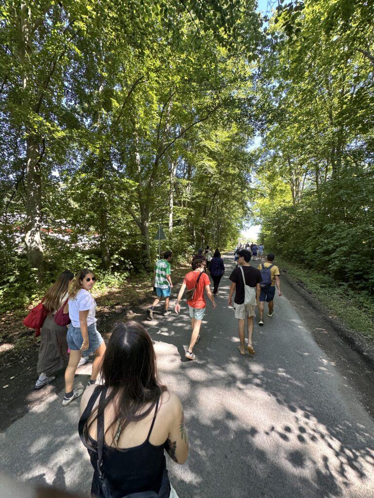 One Walk. Two Teams image 1