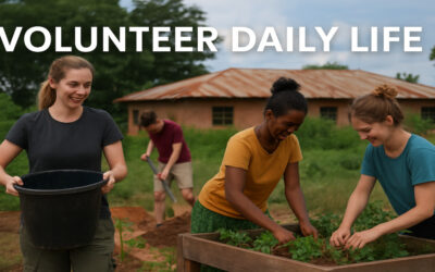 Volunteer Daily Life: What a Day Looks Like in the Volunteer for Change Programme