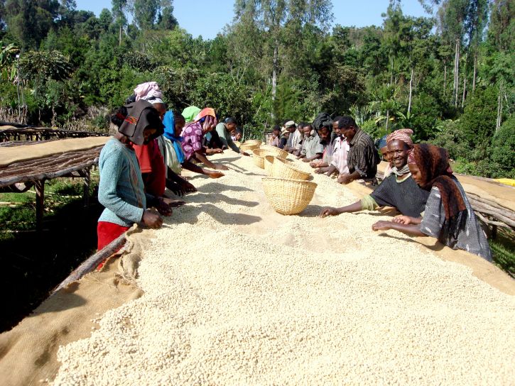 Why Jobs Matter in Poverty Reduction More Than Charity Alone image 2
